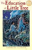 Book cover of The Education of Little Tree