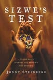 Book cover of Sizwe's Test: A Young Man's Journey Through Africa's AIDS Epidemic