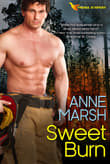 Book cover of Sweet Burn