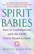 Book cover of Spirit Babies: How to Communicate with the Child You're Meant to Have