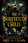 Book cover of The Thirteenth Child