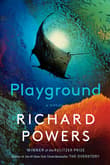 Book cover of Playground