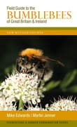 Book cover of Field Guide to the Bumblebees of Great Britain and Ireland