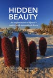 Book cover of Hidden Beauty: An exploration of Qatar's native and naturalised flora