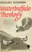 Book cover of Water Buffalo Theology
