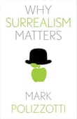 Book cover of Why Surrealism Matters