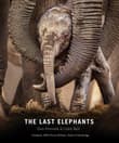Book cover of The Last Elephants