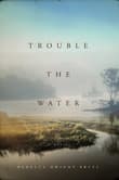 Book cover of Trouble The Water