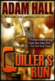 Book cover of Quiller's Run