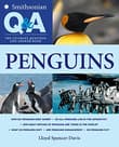 Book cover of Smithsonian Q & A: Penguins: The Ultimate Question & Answer Book