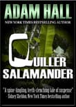 Book cover of Quiller Salamander