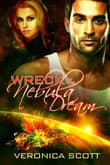 Book cover of Wreck of the Nebula Dream