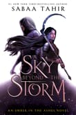 Book cover of A Sky Beyond the Storm