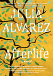 Book cover of Afterlife