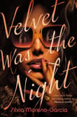 Book cover of Velvet Was the Night