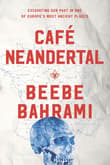 Book cover of Cafe Neandertal