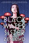 Book cover of Black Water Sister