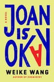Book cover of Joan Is Okay