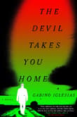 Book cover of The Devil Takes You Home