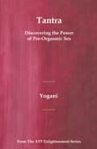 Book cover of Tantra