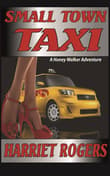 Book cover of Small Town Taxi