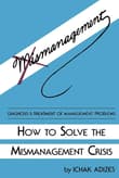 Book cover of How To Solve The Mismanagement Crisis