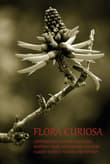 Book cover of Flora Curiosa: Cryptobotany, Mysterious Fungi, Sentient Trees, and Deadly Plants in Classic Science Fiction and Fantasy