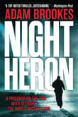 Book cover of Night Heron