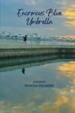 Book cover of Enormous Blue Umbrella