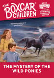 Book cover of The Mystery of the Wild Ponies