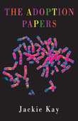 Book cover of The Adoption Papers