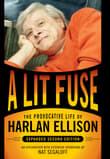 Book cover of A Lit Fuse