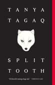 Book cover of Split Tooth