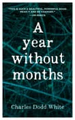 Book cover of A Year Without Months