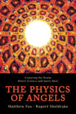 Book cover of The Physics of Angels: Exploring the Realm Where Science and Spirit Meet