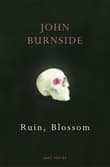 Book cover of Ruin, Blossom