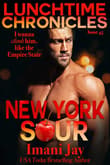 Book cover of New York Sour