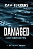 Book cover of Damaged