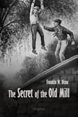 Book cover of The Secret of the Old Mill