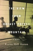 Book cover of The View From Breast Pocket Mountain