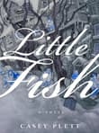 Book cover of Little Fish