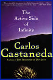 Book cover of The Active Side of Infinity