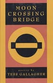 Book cover of Moon Crossing Bridge