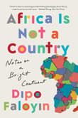 Book cover of Africa Is Not a Country