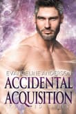 Book cover of Accidental Acquisition