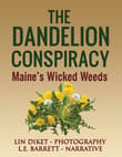 Book cover of The Dandelion Conspiracy: Maine's Wicked Weeds