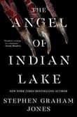 Book cover of The Angel of Indian Lake