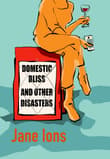 Book cover of Domestic Bliss and Other Disasters
