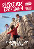Book cover of Mountain Top Mystery