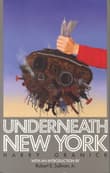 Book cover of Underneath New York